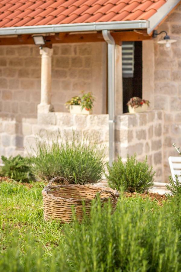Olive Garden Ston Exterior foto
